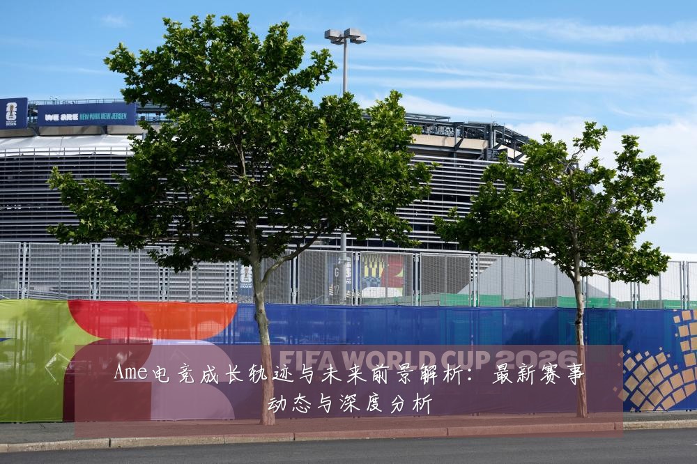 Ame电竞成长轨迹与未来前景解析:最新赛事动态与深度分析